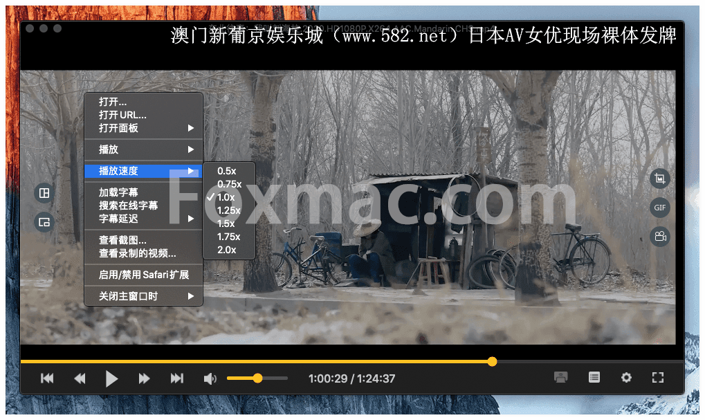 肥老影音播放器苹果版:mac 必备的全能影音播放器OmniPlayer Pro中文和谐版下载(支持无线投屏)