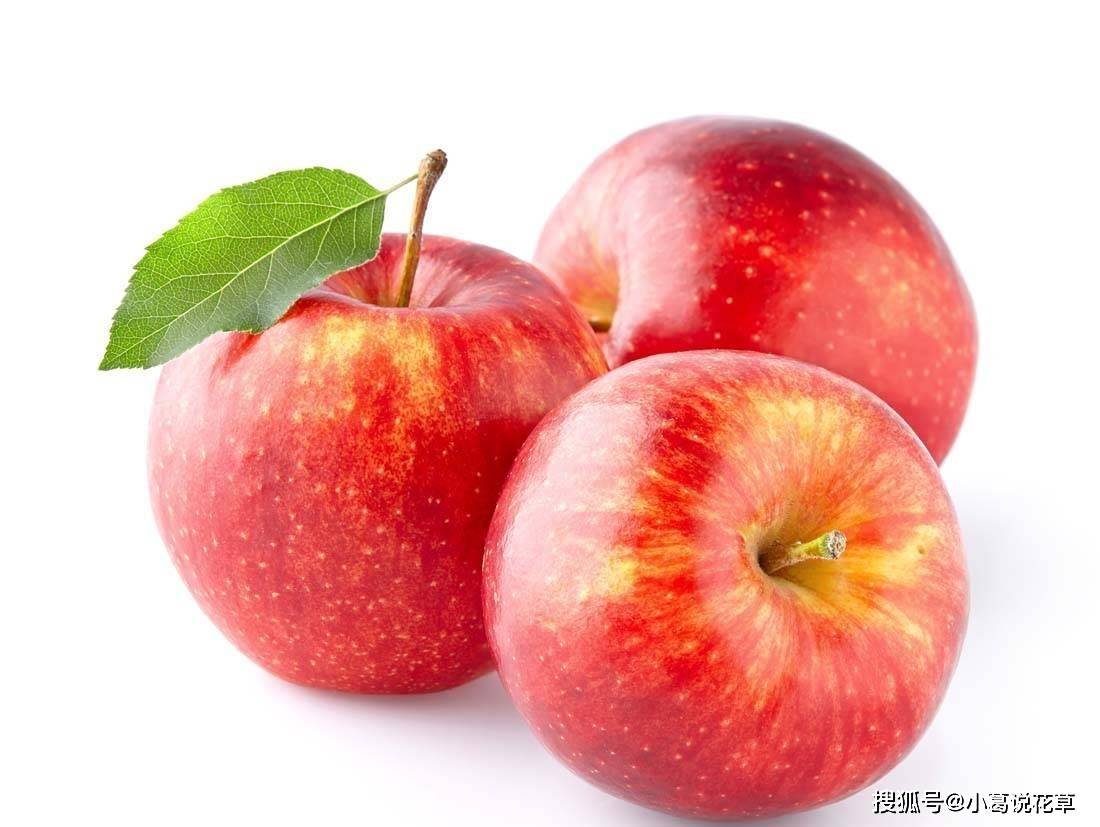 异常苹果破解版
:苹果和它天生一对，三天吃一次，润肠通便、护心抗衰老，胜过补药
