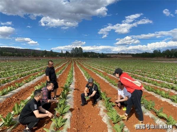 91短视频版苹果:田间把脉助增收——四川工商学院赴盐源县开展乡村振兴工作