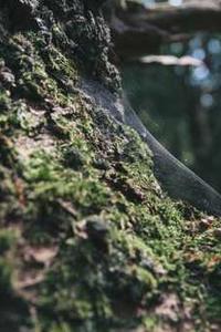 信用金卡苹果版下载