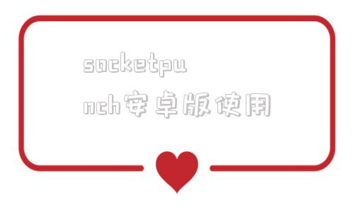 socketpunch安卓版使用shadowsock使用方法40