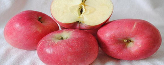 吃苹果会胖吗新闻苹果能减肥还是增肥-第2张图片-太平洋在线下载